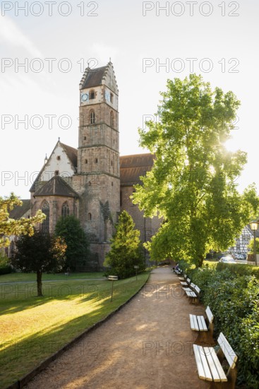 Monastery and monastery church, Alpirsbach, Northern Black Forest, Black Forest, Baden-Württemberg,