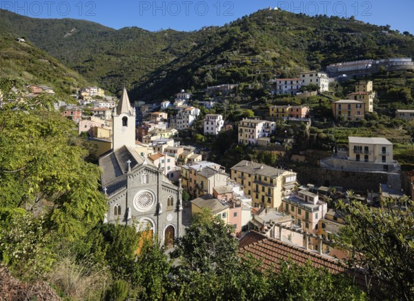 View of picturesque village of Riomaggiore with church and colorful houses in a green, hilly