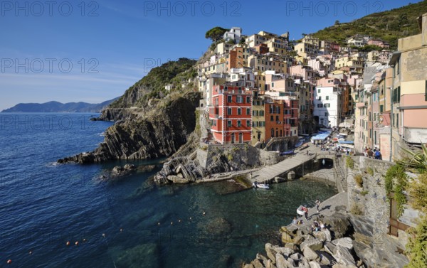 Colourful houses under blue sky, view of the fishing village of Riomaggiore, boats in the harbour,