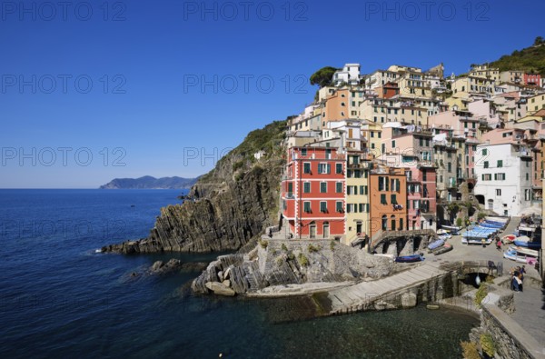 Colourful houses under blue sky, view of the fishing village of Riomaggiore, port, Cinque Terre, La