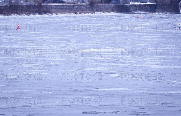 Elbe with ice floes, winter, Dresden, Saxony, Germany