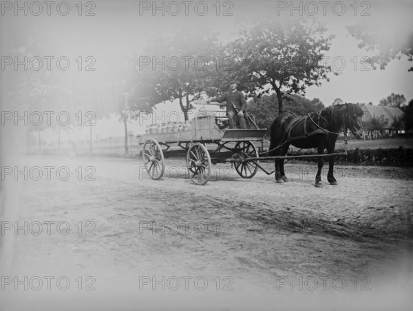 Coachman, horse-drawn carriage with milk cans, ca. 1920-1930, retro, vintage, old, historic,