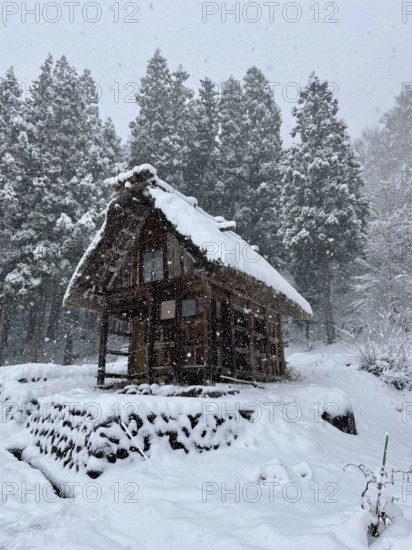 Lonely snowy wooden hut on the edge of a forest on a hill in winter, blowing snow, winter,