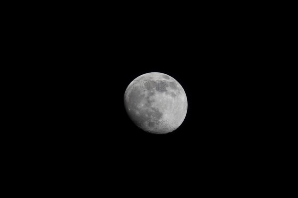 The moon is highly detailed and clearly visible against a black night sky, Dümmer nature park Park,