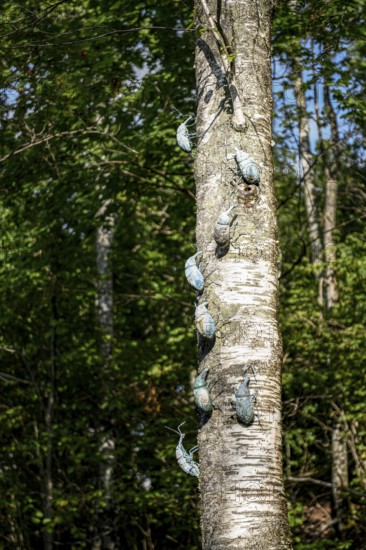 Several insect sculptures crawl up the trunk of a tree under a clear sky at the birthplace of