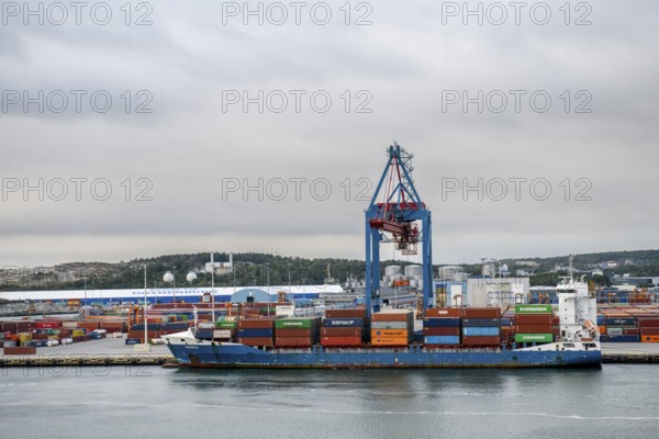 Container ship in port surrounded by several cranes Container bridges, Gothenburg, Västra Götalands