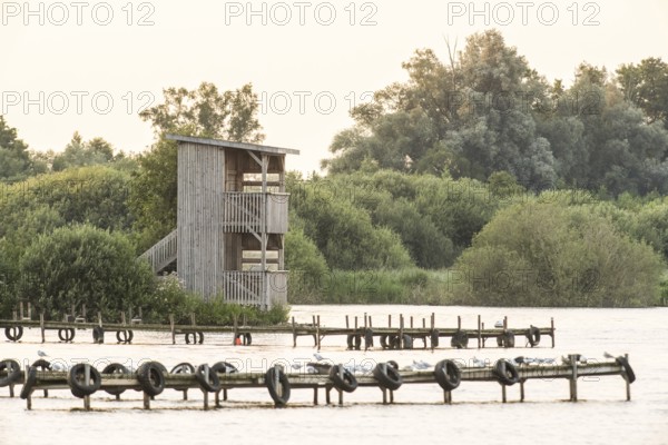 Observation tower at Olgahafen der Dümmer See Wooden tower on the water surrounded by trees,