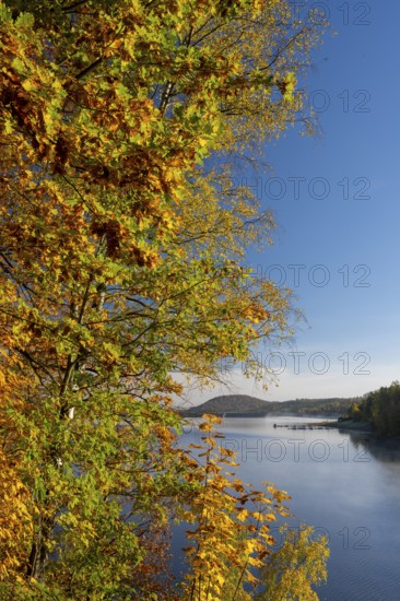 Autumn forest at Innerstestausee in the Harz Mountains, Innerstestausee, Goslar, Lower Saxony,