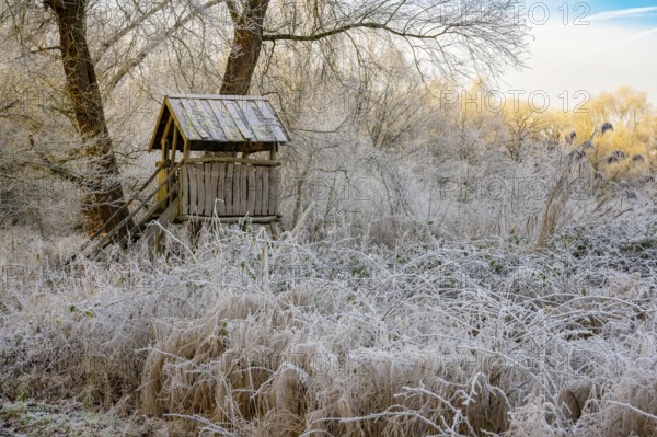 Winter hoarfrost at Ahlhorn fish ponds, Hochsitz, Ahlhorn fish ponds, Ahlhorn, Lower Saxony,