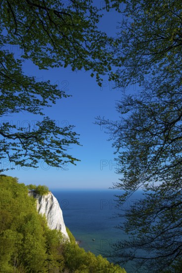 View of chalk cliffs in Jasmund National Park on Rügen, Königsstuhl, Sassnitz, Rügen,