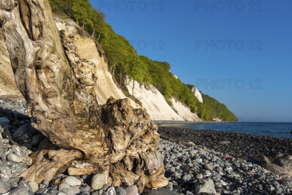 View of chalk cliffs in Jasmund National Park on Rügen, Königsstuhl, Sassnitz, Rügen,