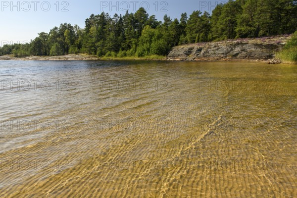 Clear water on sandy shore Beach surrounded by forest landscape under sunny sky, at Lake Vänern,