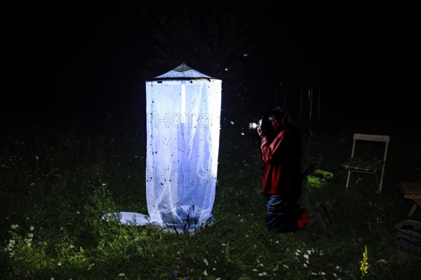 Person, biologist, butterfly researcher photographs an illuminated insect tent Light catch light at