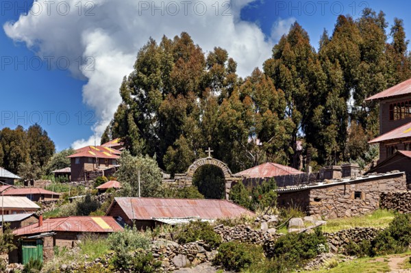 Rustic stone and wood village farm houses in front of imposing trees under cloudy skies, the