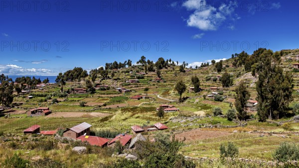 Terraced landscape with scattered huts and trees under bright skies, The countryside and farmhouses