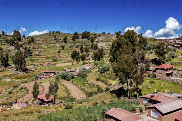 Hilly landscape with terraced fields and scattered farm houses under a blue sky, The countryside