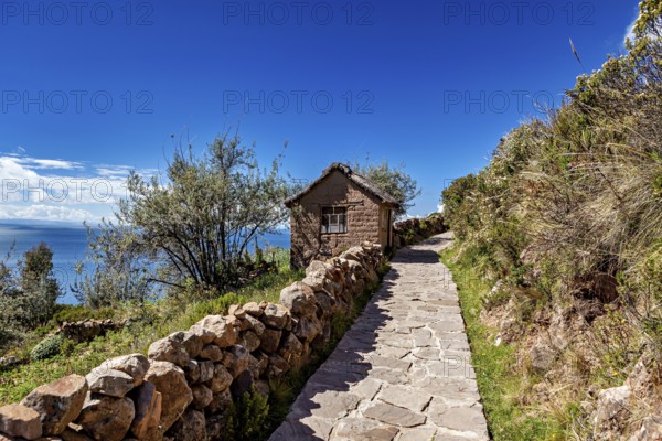 A paved path leads past a small cabin surrounded by lush vegetation under a clear blue sky, the