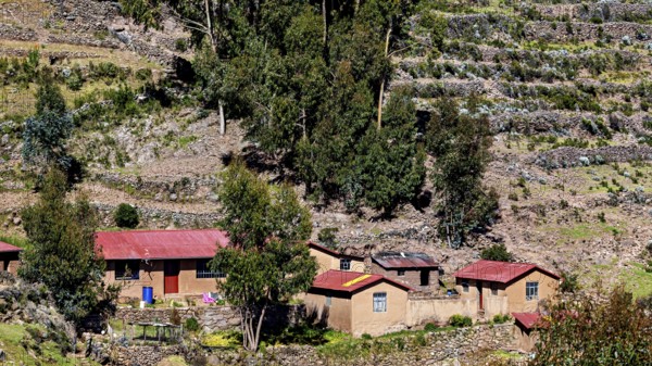 Small farm houses and terraced landscape on a hill with stone walls and trees, The countryside and