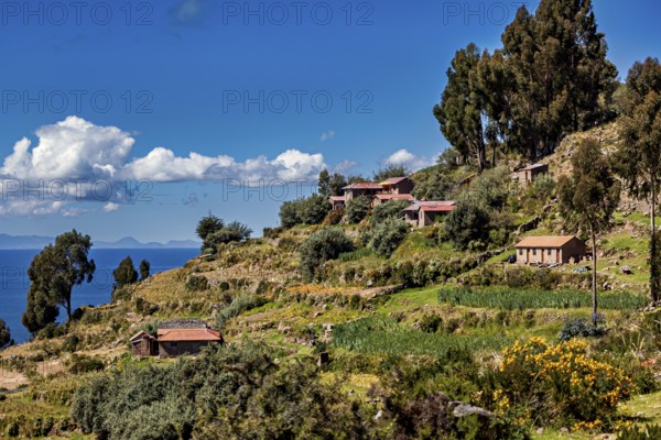 Several farm houses are perched on a green hill overlooking a blue sky and surrounded by