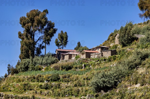 Some farm houses are on terraced slopes surrounded by lush vegetation and standing trees, The