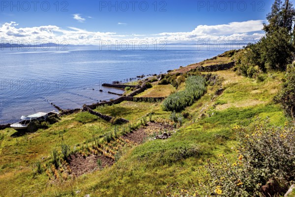 Coastal landscape with fields and vegetation on the shores of a large lake under blue sky, The