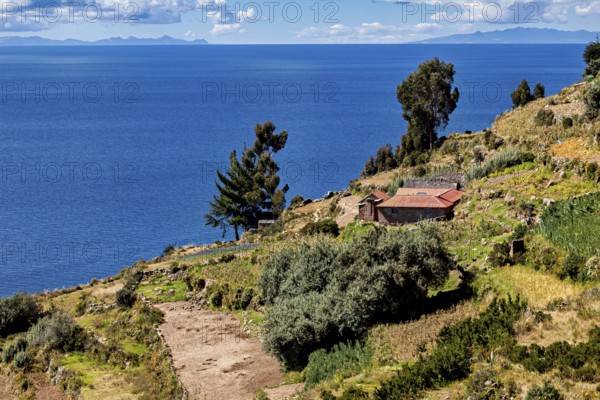 A cabin is situated on a terrace overlooking a blue lake surrounded by tall trees and vegetation,