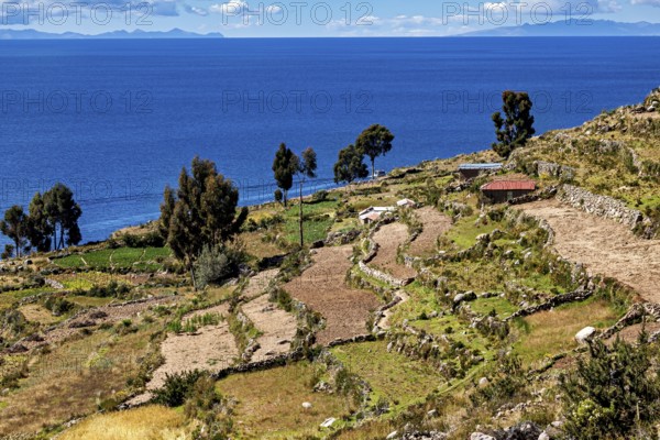 View of terraced fields on the shores of a deep blue lake with islands emerging in the background,