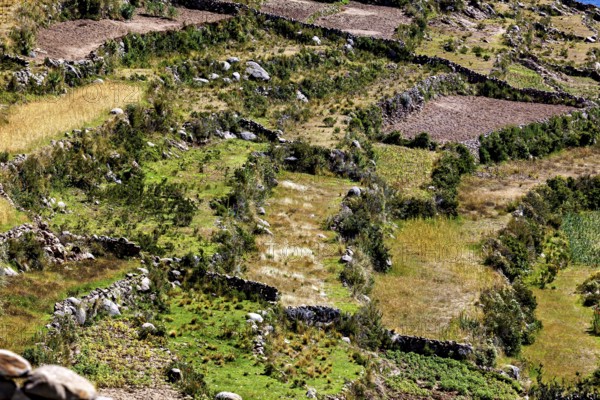 Close-up of terraced fields dotted with vegetation and surrounded by rock walls, the countryside