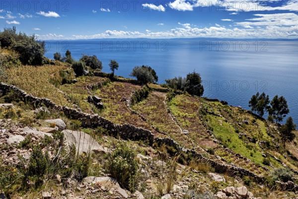 View of a large lake and planted fields that contribute to a quiet and peaceful landscape, The