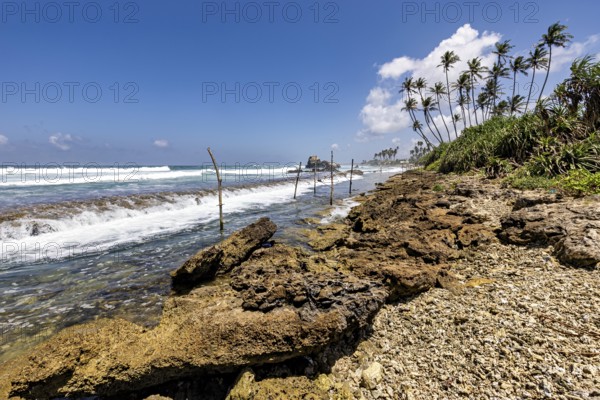 Rough beach with rocks, palm trees and waves in the midday sun, Koggala beach with stilt fishermen