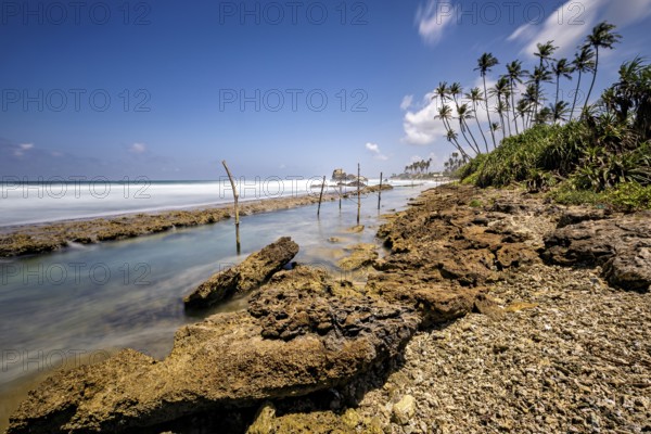 Pristine beach with palm trees, rocks and wooden posts in the water, Koggala beach with stilt