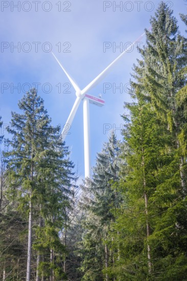 Wind turbine towering into the sky between green trees, Black Forest, Germany
