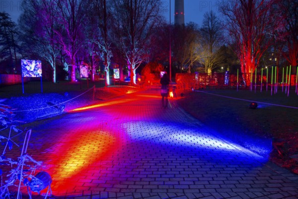 Winter lights in Luisenpark in Mannheim. Every year in January and early February, the park is