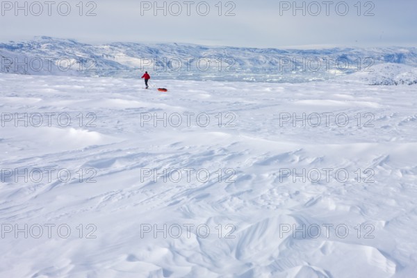 A tourist on a winter Arctic expedition skiing along Ikasartivaq Fjord, Sermersooq municipality,