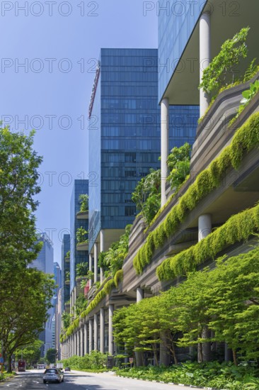 Parkroyal Collection Pickering, luxury five-star hotel with green walls and sky gardens in Central