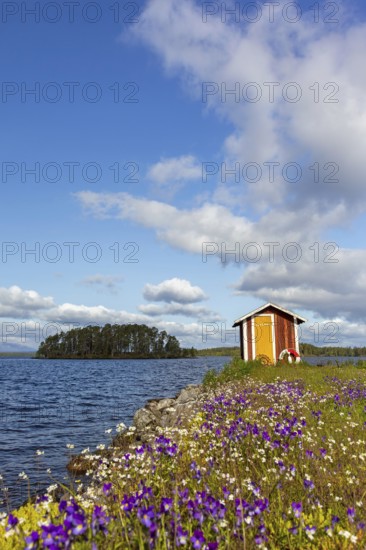 Colourful wildflowers and boathouse on the island Norderön in lake Storsjön in spring, Jämtland,