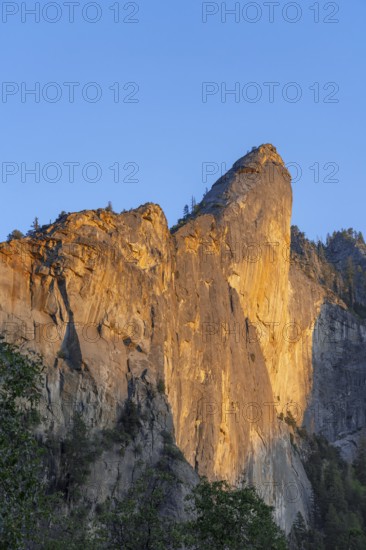 Leaning Tower with Alpenglow in Yosemite Valley, Yosemite National Park in the Sierra Nevada