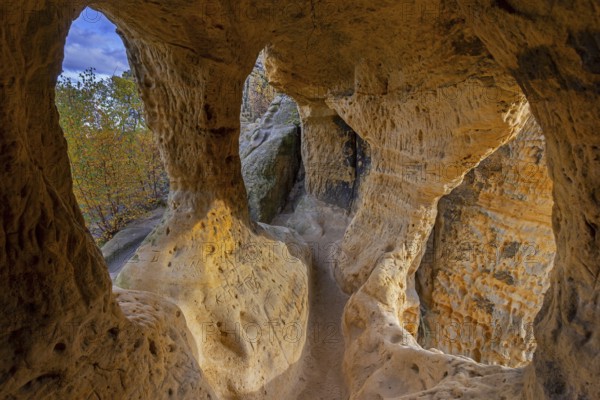 Klusfelsen, sandstone rock formation in Goslar near Halberstadt on the edge of the Harz Mountains,