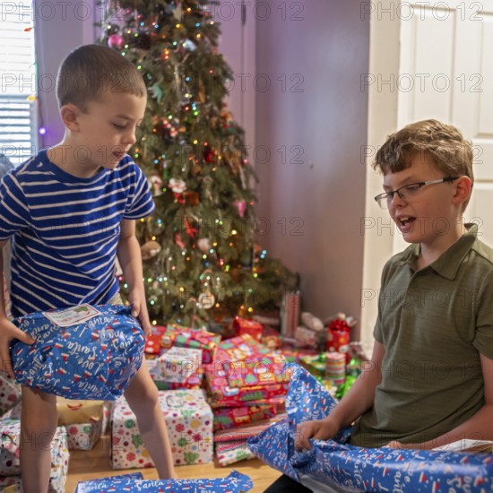Denver, Colorado - Brothers open Christmas presents on Christmas morning