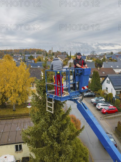 Workers on a lift working on a tree in an urban environment, tree work, Gechingen, Calw district,