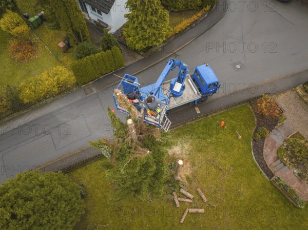 Aerial view of men on a lift working on a tree surrounded by a residential area, tree work,