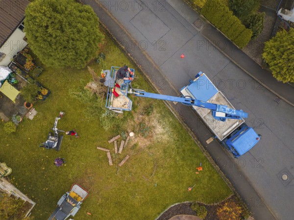 Fence, tree cutting with crane, worker removing branches on green field, autumn landscape, tree