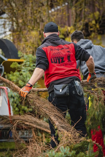 Two workers wearing protective clothing cut off branches of a tree, tree work, Gechingen, Calw