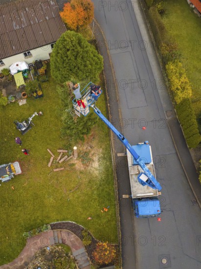 Lifting platform with workers on a road working on a tree surrounded by vehicles, tree work,