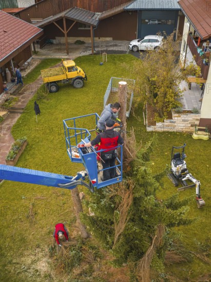 View of a group in a lift working with construction machinery in a garden, tree work, Gechingen,