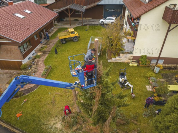 Men on a lift doing garden work in a large garden surrounded by buildings, tree work, Gechingen,