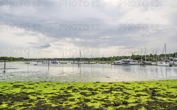 Swanwick Marina, River Hamble, Swanwick, Southampton, Hampshire, UK