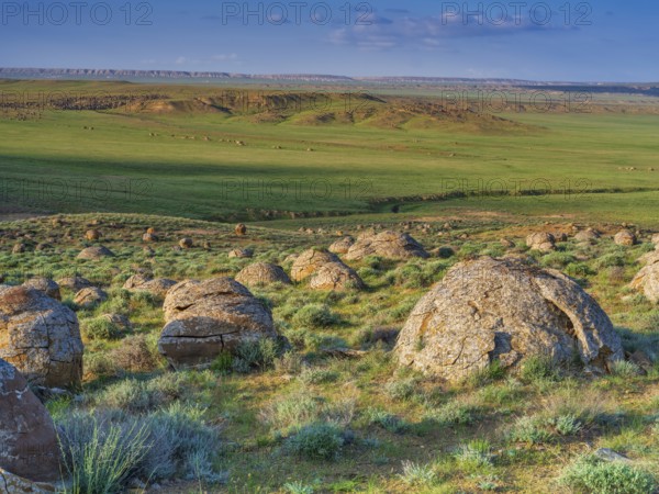 The large spherolites (concretions) at Torysh, with over 500–600 spheres of various sizes covering