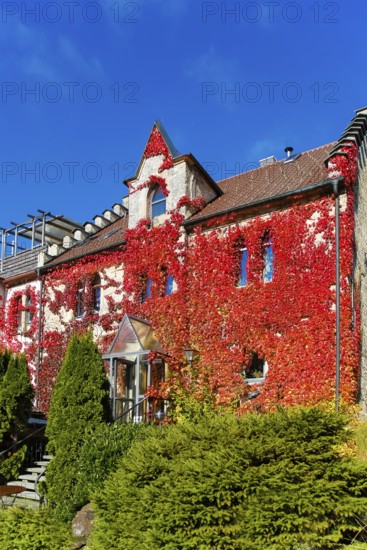Restaurant Altes Forsthaus near Lichtenstein Castle, restaurant, dining restaurant, historic