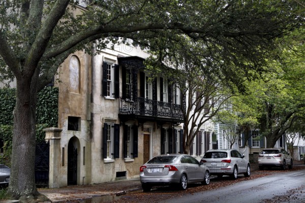 Historic buildings under big trees on a quiet street in Charleston, Charleston, South Carolina, USA